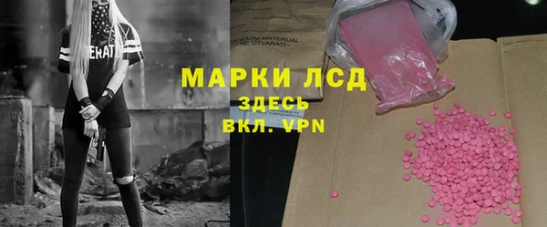 амф Дмитриев