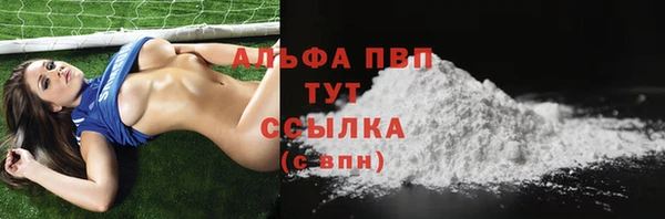 амф Дмитриев