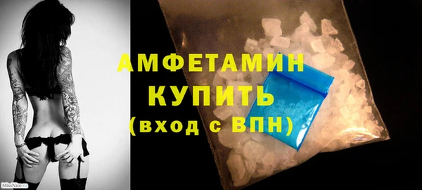 амф Дмитриев