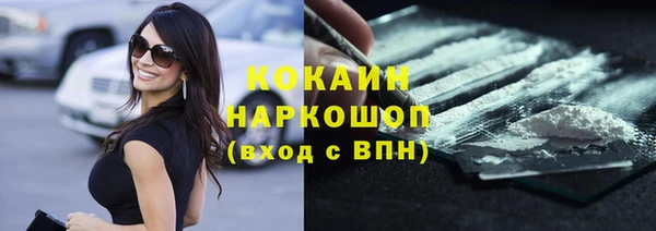 амф Дмитриев