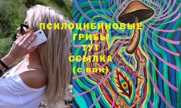 амф Дмитриев