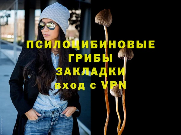 амф Дмитриев