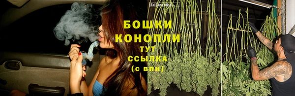 амф Дмитриев